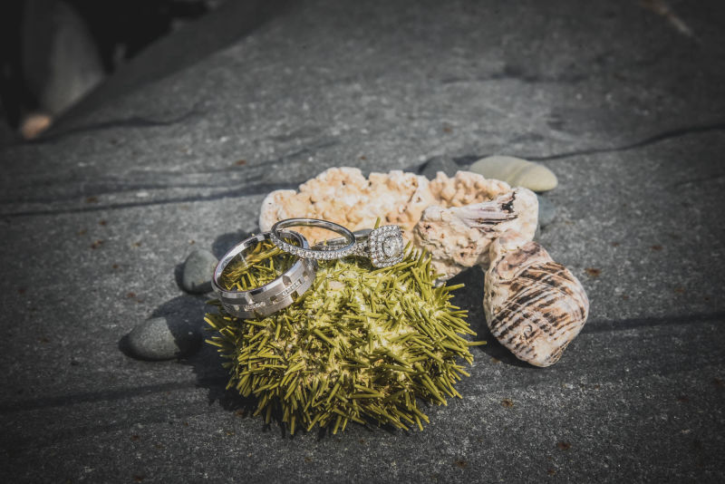 Newlyweds walking by the ocean