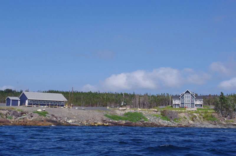 Wedding Party on the Baccalieu Trail